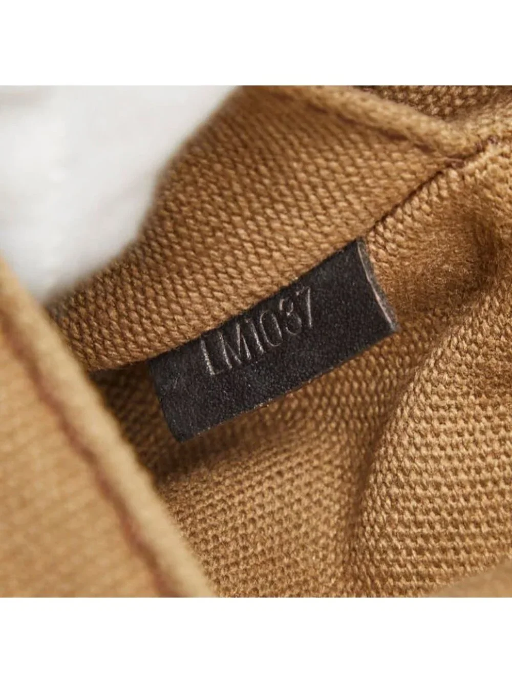 Louis Vuitton brand louis